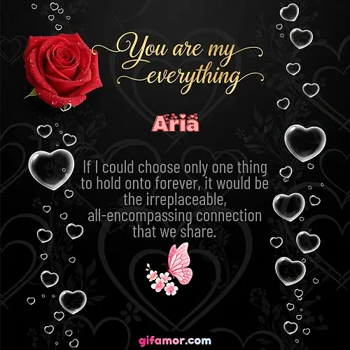 Aria