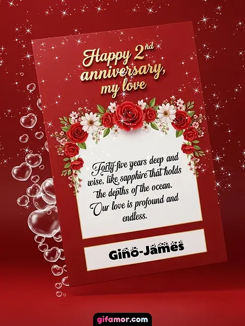 Happy 2st anniversary, my love II Gino-James