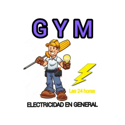 Servicios Eléctricos Ica